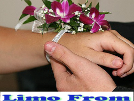 We are leaders in the limousine industry offering luxury coach buses & stretched SUV's. Wheter it's a wedding, corporate event, night out or a prom.